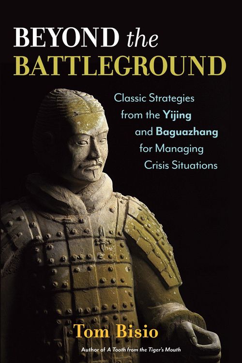 Produktbild: Beyond the Battleground