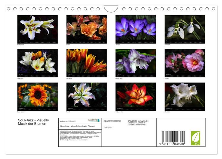 Produktbild: Soul-Jazz - Visuelle Musik der Blumen (Wandkalender 2026 DIN A4 quer), CALVENDO Monatskalender