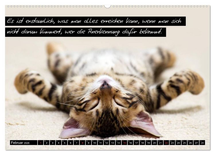 Produktbild: Der "philosophische" Katzenkalender 2026 (hochwertiger Premium Wandkalender 2026 DIN A2 quer), Kunstdruck in Hochglanz