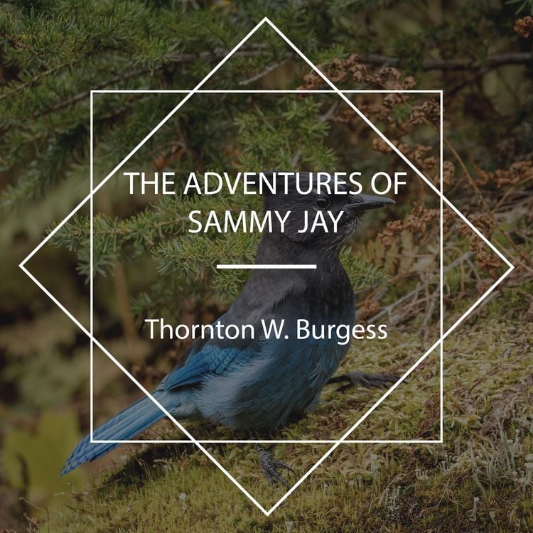 Produktbild: The Adventures of Sammy Jay