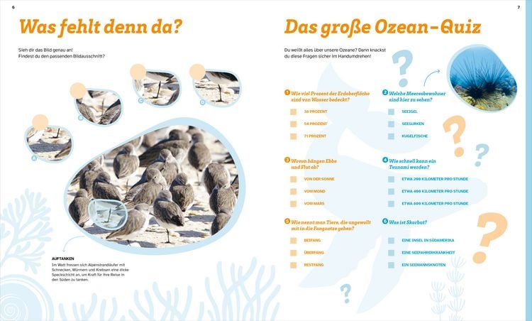 Produktbild: WAS IST WAS R&auml;tseln und Stickern: Ozeane
