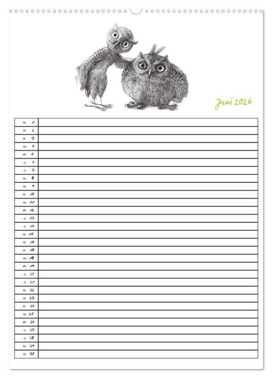 Produktbild: Tieronisch Eulen (Wandkalender 2026 DIN A2 hoch), CALVENDO Monatskalender