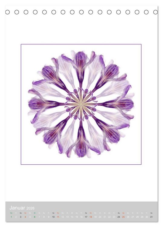 Produktbild: Pflanzen - Mandalas aus Bl&uuml;ten und Bl&auml;ttern (Tischkalender 2026 DIN A5 hoch), CALVENDO Monatskalender