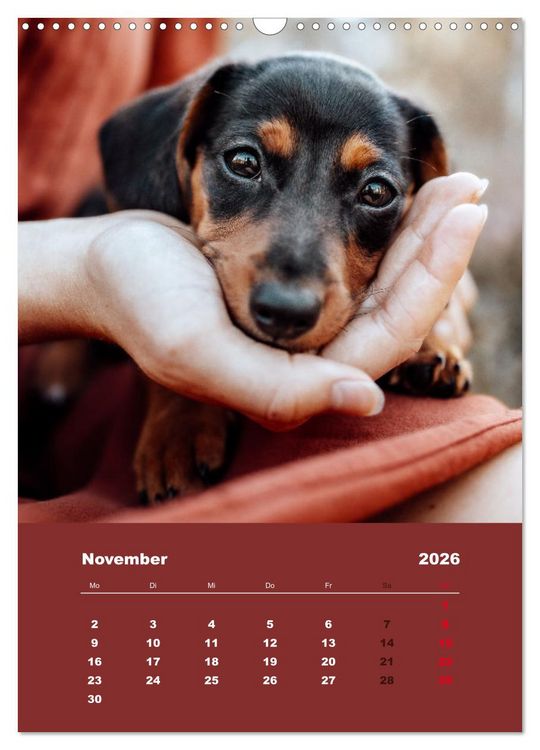 Produktbild: Du und ich - Dreamteamfotografie - Mensch und Hund (Wandkalender 2026 DIN A3 hoch), CALVENDO Monatskalender