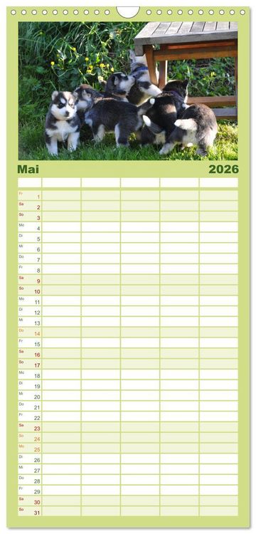 Produktbild: Familienplaner 2026 - Huskys - Traumhunde mit 5 Spalten (Wandkalender, 21 x 45 cm) CALVENDO