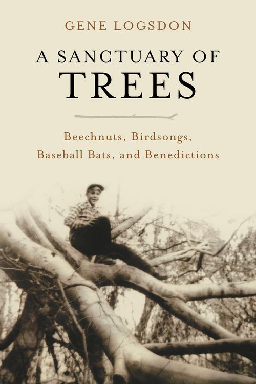 Produktbild: A Sanctuary of Trees