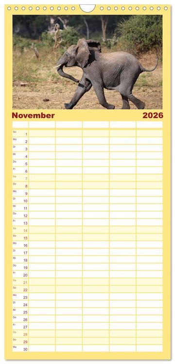 Produktbild: Familienplaner 2026 - Elefanten in Afrika mit 5 Spalten (Wandkalender, 21 x 45 cm) CALVENDO