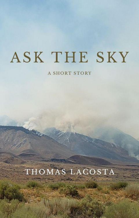 Produktbild: Ask the Sky