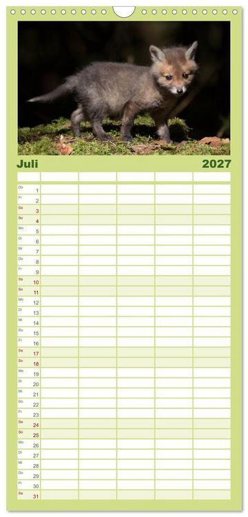 Produktbild: Familienplaner 2027 - Bei den Jungf&uuml;chsen mit 5 Spalten (Wandkalender, 21 x 45 cm) CALVENDO