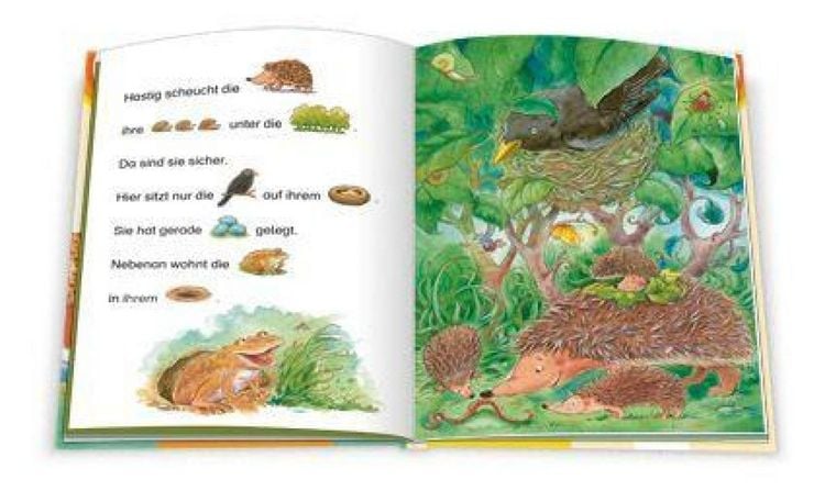 Produktbild: Vom kleinen Igel, der lieber ein ganz Gro&szlig;er w&auml;re