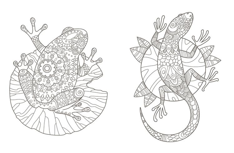 Produktbild: Colorful Mandala &ndash; Mandala &ndash; Spaziergang durch die Natur