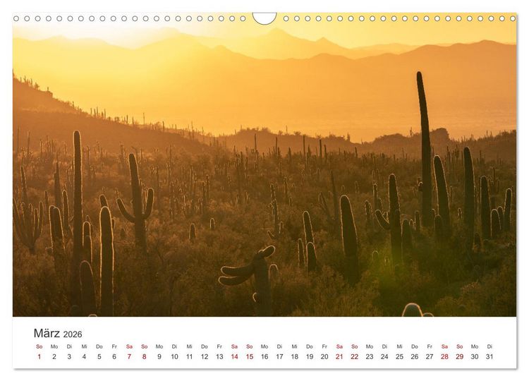 Produktbild: Arizona - Grand Canyon State (Wandkalender 2026 DIN A3 quer), CALVENDO Monatskalender