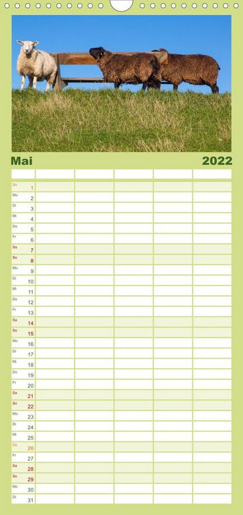 Produktbild: Familienplaner Pellworm 2022 (Wandkalender 2022 , 21 cm x 45 cm, hoch)