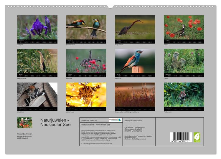 Produktbild: Naturjuwelen - Neusiedler See (hochwertiger Premium Wandkalender 2026 DIN A2 quer), Kunstdruck in Hochglanz