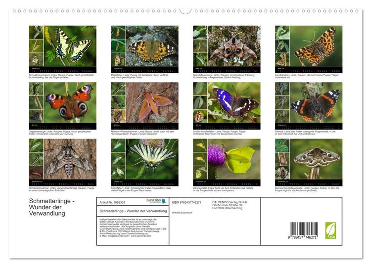 Produktbild: Schmetterlinge - Wunder der Verwandlung (hochwertiger Premium Wandkalender 2026 DIN A2 quer), Kunstdruck in Hochglanz