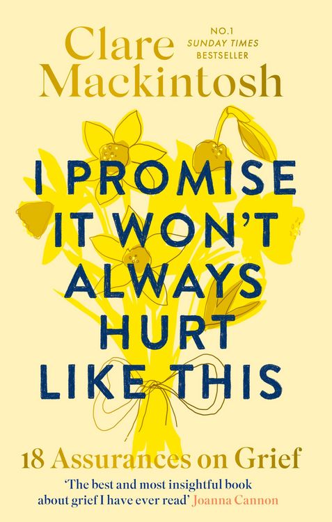 Produktbild: I Promise It Won't Always Hurt Like This