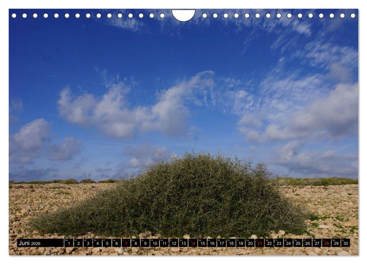 Produktbild: Formentera - Mittelmeerinsel voller Magie (Wandkalender 2026 DIN A4 quer), CALVENDO Monatskalender