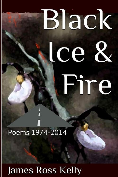 Produktbild: Black Ice & Fire