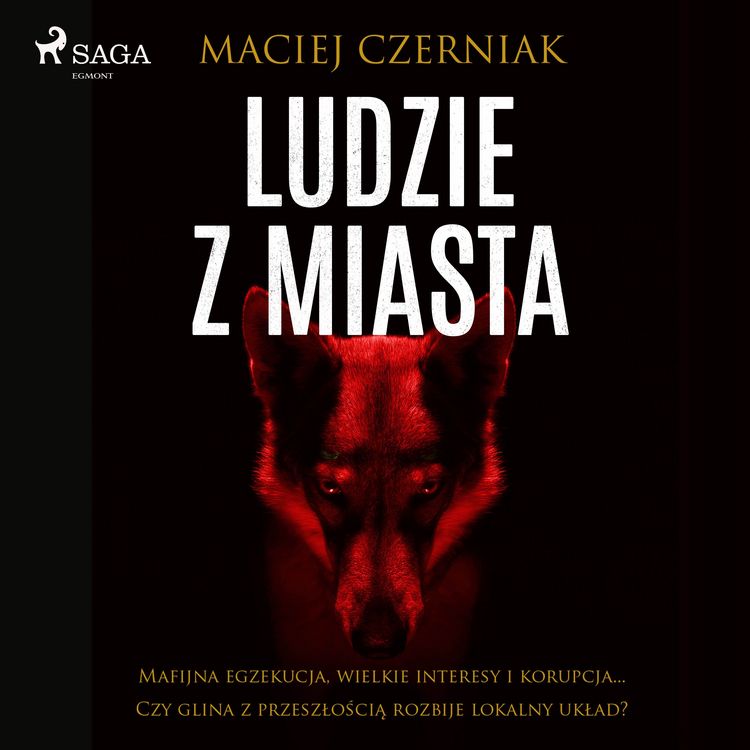 Produktbild: Ludzie z miasta