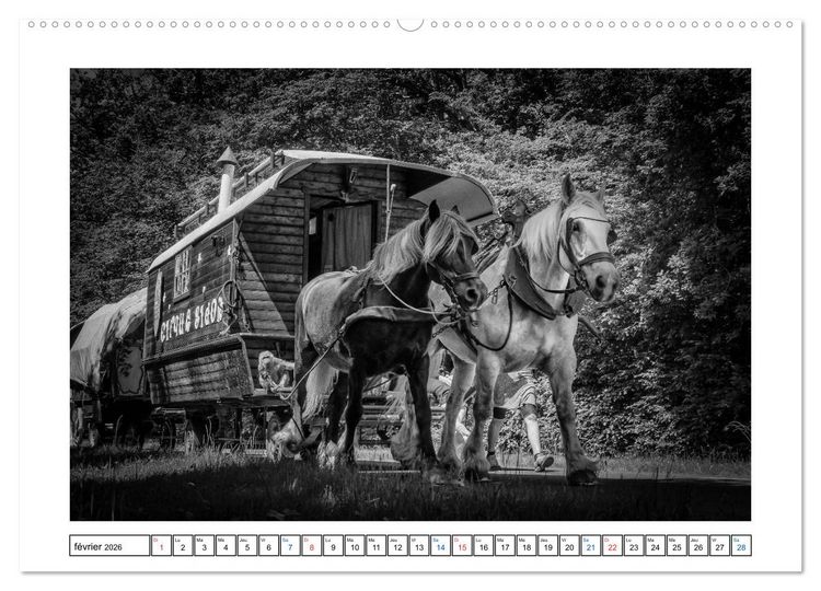Produktbild: Sur la route avec le Cirque Bidon (Calendrier mural 2026 DIN A2 vertical) calendrier de bureau