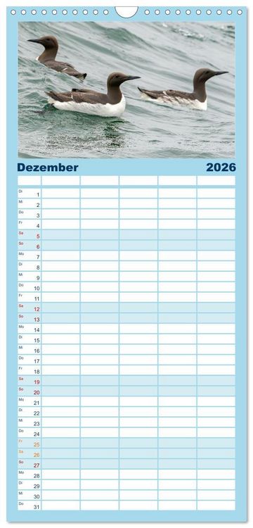 Produktbild: Familienplaner 2026 - Unsere Vogelvielfalt: Ein Schatz zum Entdecken und Sch&uuml;tzen mit 5 Spalten (Wandkalender, 21 x 45 cm) CALVENDO