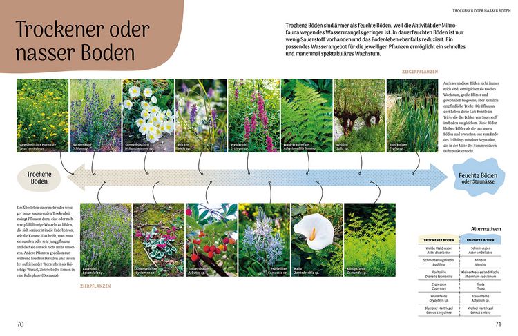 Produktbild: Der resiliente Garten