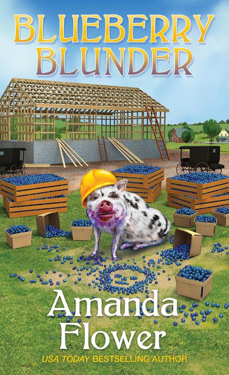 Produktbild: Blueberry Blunder
