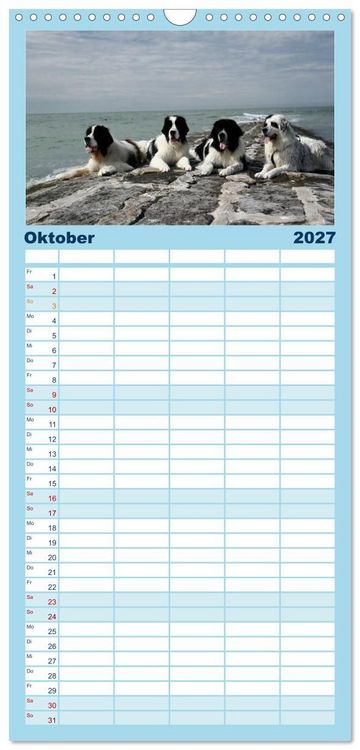 Produktbild: Familienplaner 2027 - Landseer - Das Wasser ist ihr Element mit 5 Spalten (Wandkalender, 21 x 45 cm) CALVENDO