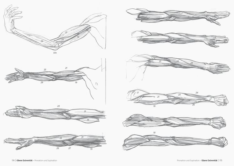 Produktbild: Morpho