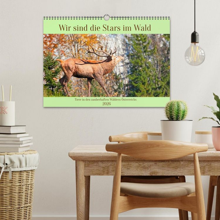 Produktbild: Wir sind die Stars im Wald (Wandkalender 2026 DIN A3 quer), CALVENDO Monatskalender