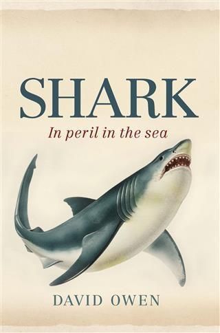 Produktbild: Shark
