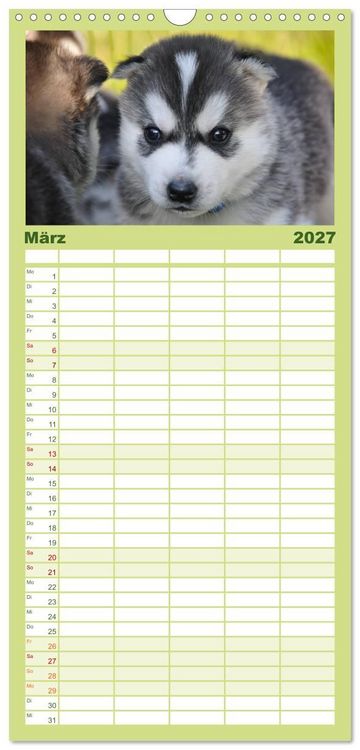 Produktbild: Familienplaner 2027 - Huskys - Traumhunde mit 5 Spalten (Wandkalender, 21 x 45 cm) CALVENDO