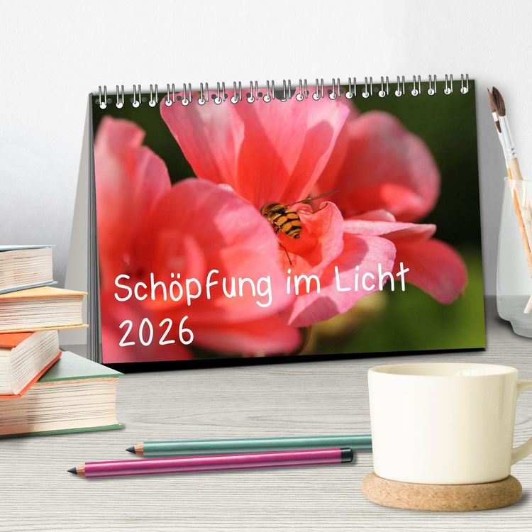 Produktbild: Sch&ouml;pfung im Licht (Tischkalender 2026 DIN A5 quer), CALVENDO Monatskalender