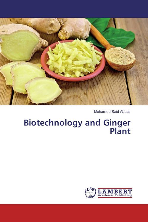 Produktbild: Biotechnology and Ginger Plant
