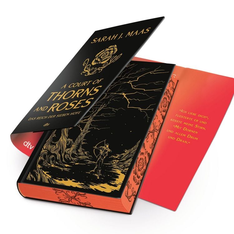 Produktbild: A Court of Thorns and Roses