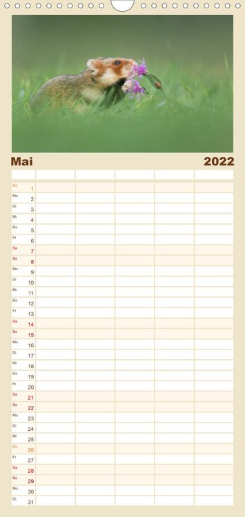 Produktbild: Familienplaner Naturfotografie (Wandkalender 2022 , 21 cm x 45 cm, hoch)