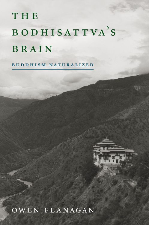 Produktbild: The Bodhisattva's Brain