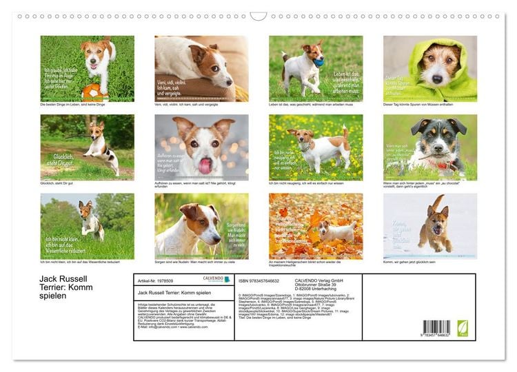 Produktbild: Jack Russell Terrier: Komm spielen (Wandkalender 2026 DIN A2 quer), CALVENDO Monatskalender