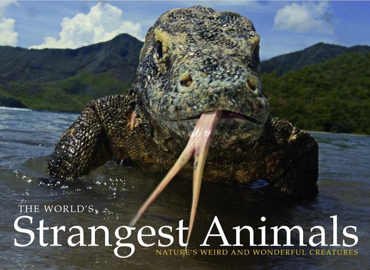 Produktbild: The World's Strangest Animals