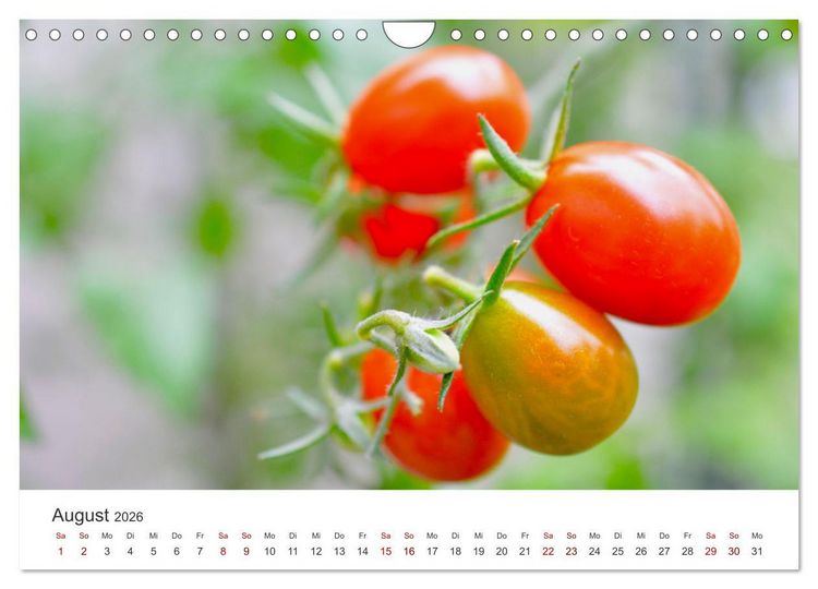 Produktbild: Frisches aus dem Gem&uuml;segarten (Wandkalender 2026 DIN A4 quer), CALVENDO Monatskalender