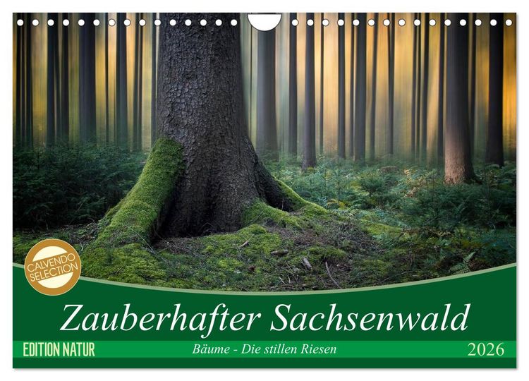Produktbild: Zauberhafter Sachsenwald (Wandkalender 2026 DIN A4 quer), CALVENDO Monatskalender