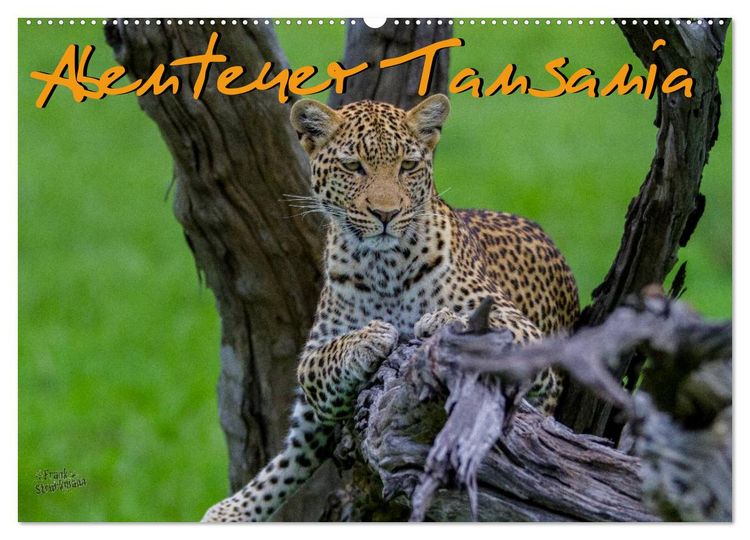 Produktbild: Abenteuer Tansania, Afrika (Wandkalender 2026 DIN A2 quer), CALVENDO Monatskalender