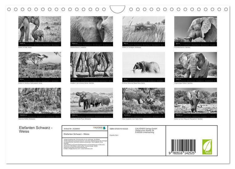Produktbild: Elefanten Schwarz - Weiss (Wandkalender 2026 DIN A4 quer), CALVENDO Monatskalender