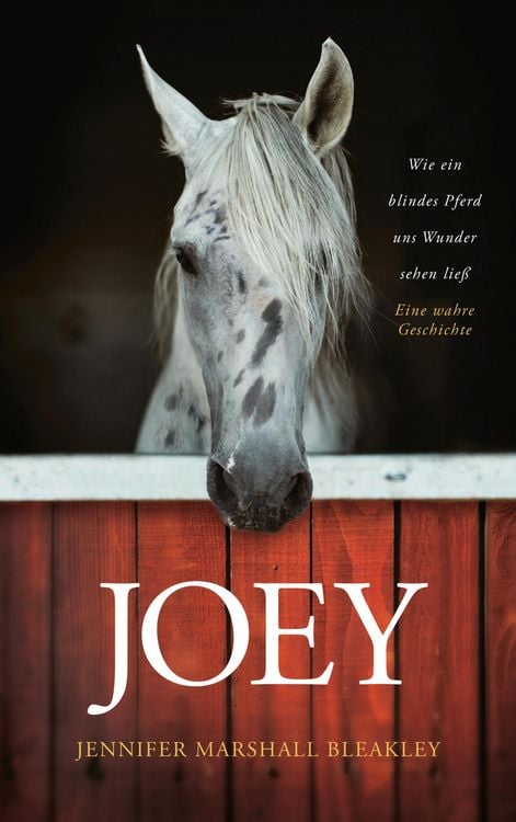 Produktbild: Joey - Wie ein blindes Pferd uns Wunder sehen lie&szlig;