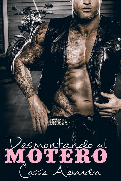 Produktbild: Desmontando al motero