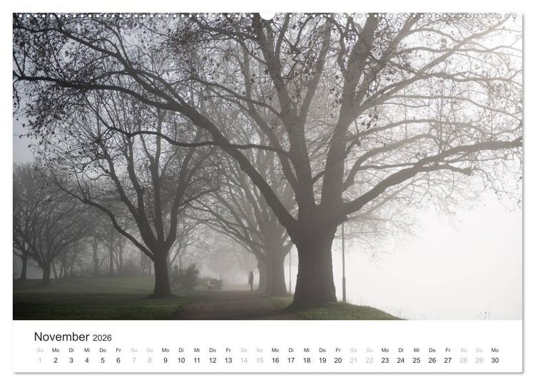 Produktbild: Du sch&ouml;nes Wiesbaden (Wandkalender 2026 DIN A2 quer), CALVENDO Monatskalender