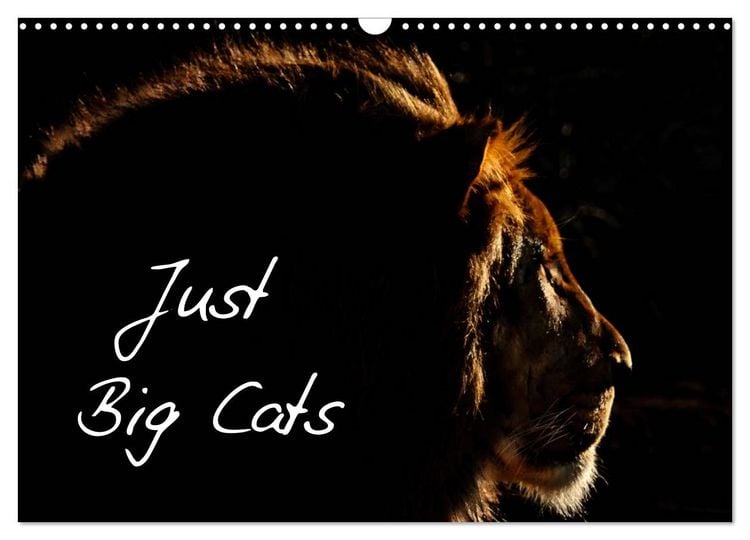 Produktbild: Just Big Cats (Wall Calendar 2026 DIN A3 landscape), CALVENDO 12 Month Wall Calendar