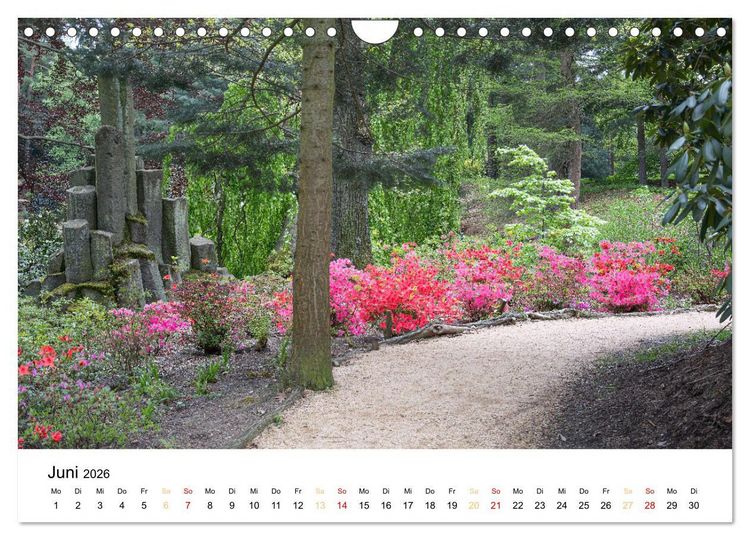 Produktbild: Streifz&uuml;ge durch Feld und Flur (Wandkalender 2026 DIN A4 quer), CALVENDO Monatskalender