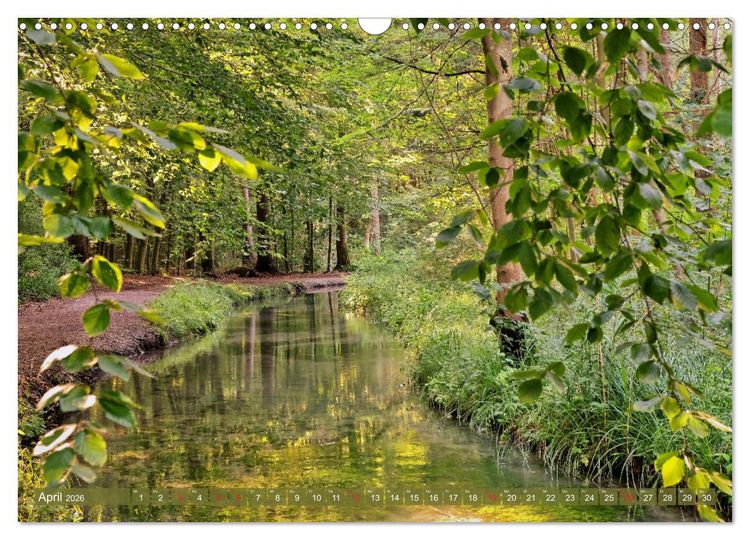 Produktbild: Augsburg - Stadt des Wassers zwischen Lech und Wertach (Wandkalender 2026 DIN A3 quer), CALVENDO Monatskalender