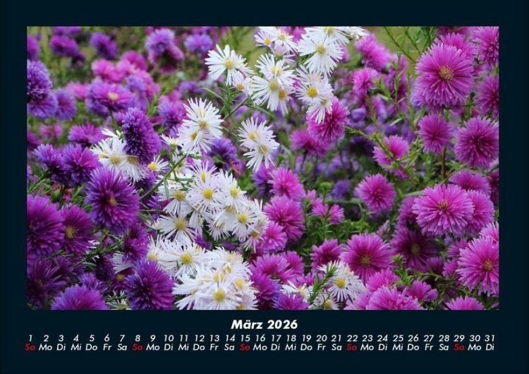 Produktbild: Blumenkalender 2026 Fotokalender DIN A4